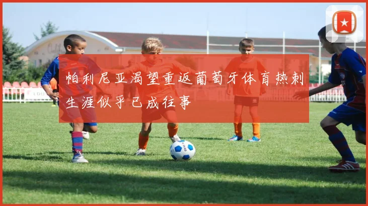 帕利尼亚渴望重返葡萄牙体育热刺生涯似乎已成往事