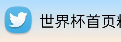 世界杯首页精彩网 logo